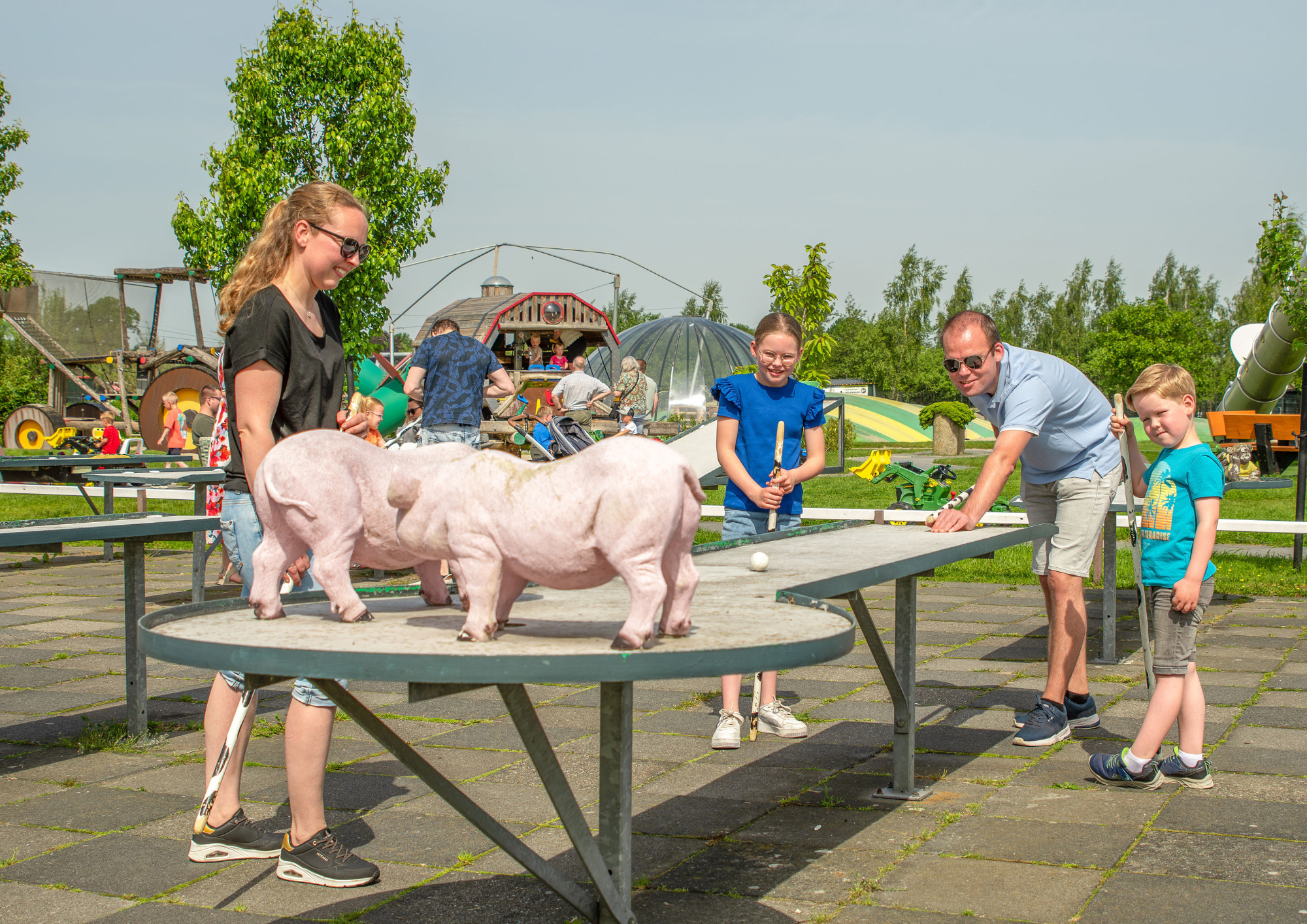 Dierenweide de Drentse Koe