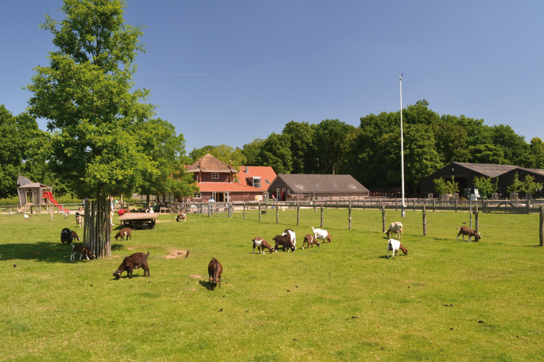 Stadsboerderij West Presikhaaf