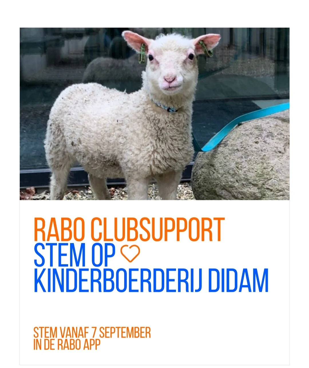 Kinderboerderij Didam