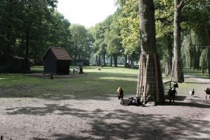 Dierenweide Nieuwe Pekela