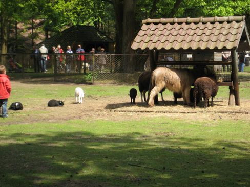 Kinderboerderij Oro