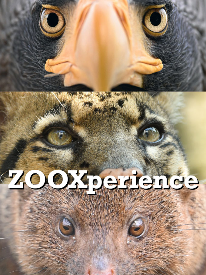 Dierenpark Zie-ZOO