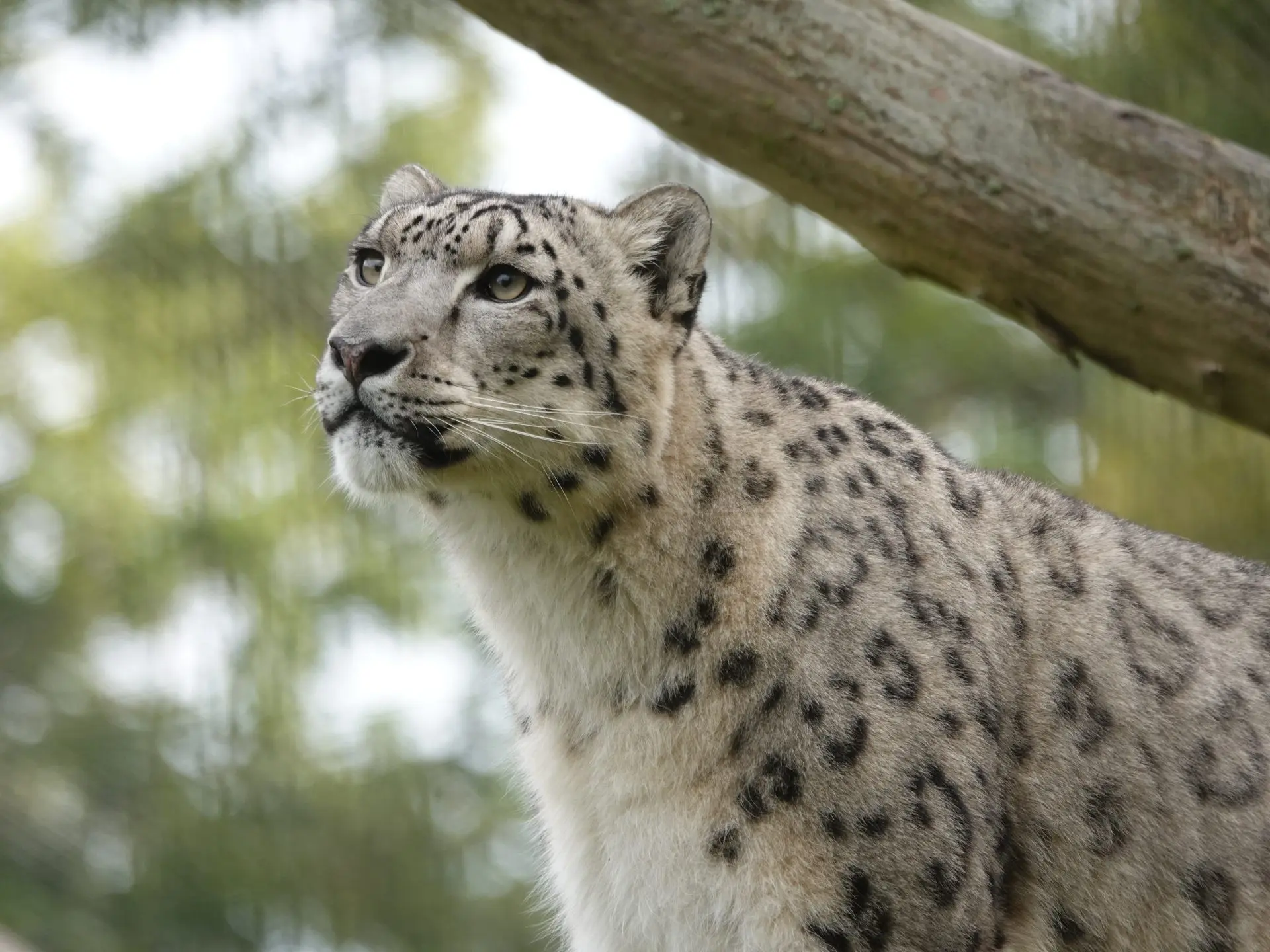 Dierenpark Hoenderdaell