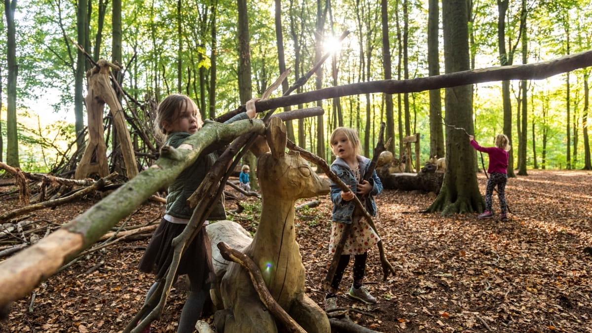 Speelbos Purmerbos