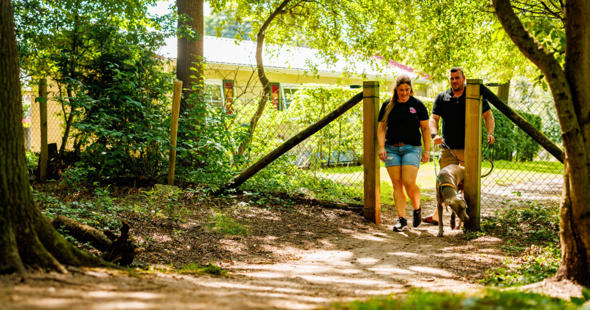 Vakantiepark De Luttenberg