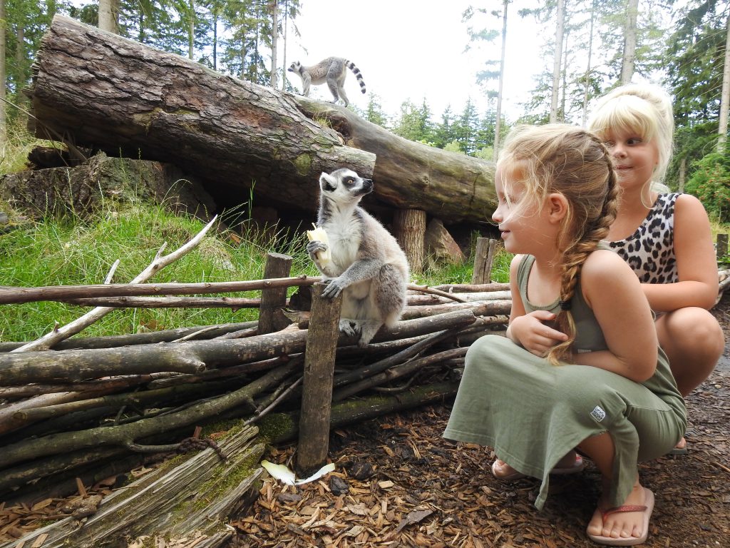 DierenPark Amersfoort