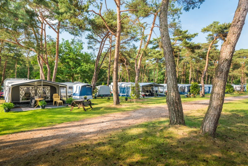 Bos Park Bilthoven