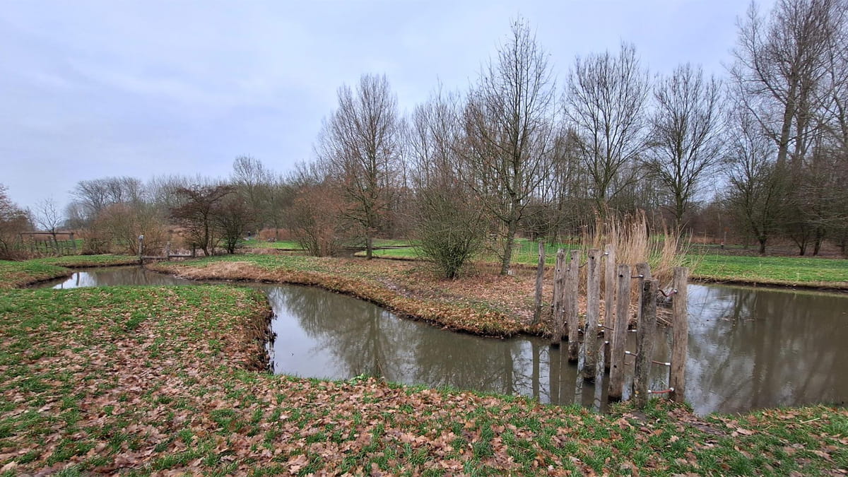 Speelbos Nieuw Wulven