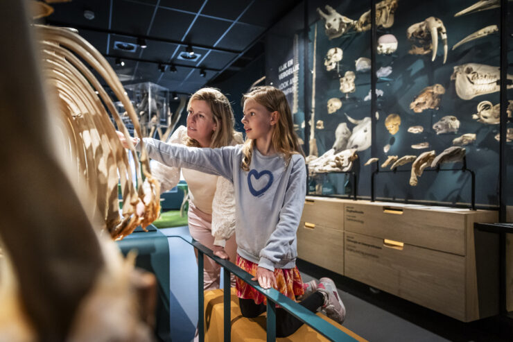 Universiteitsmuseum Utrecht