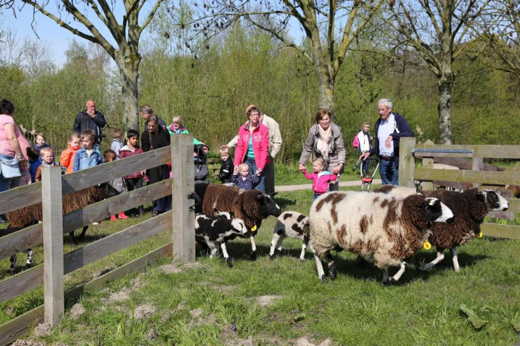 Kinderboerderij Kukele boe