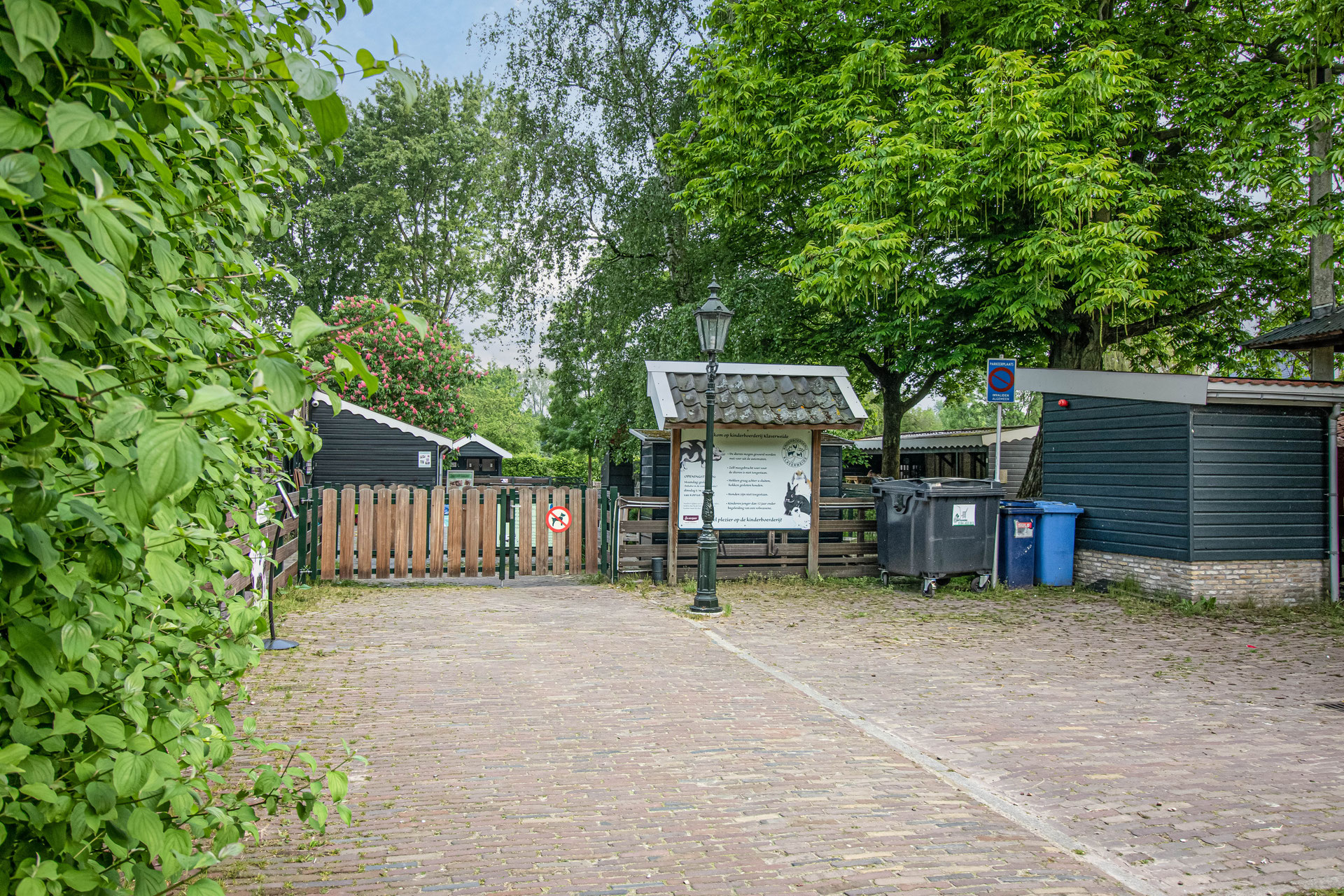 Klaverweide